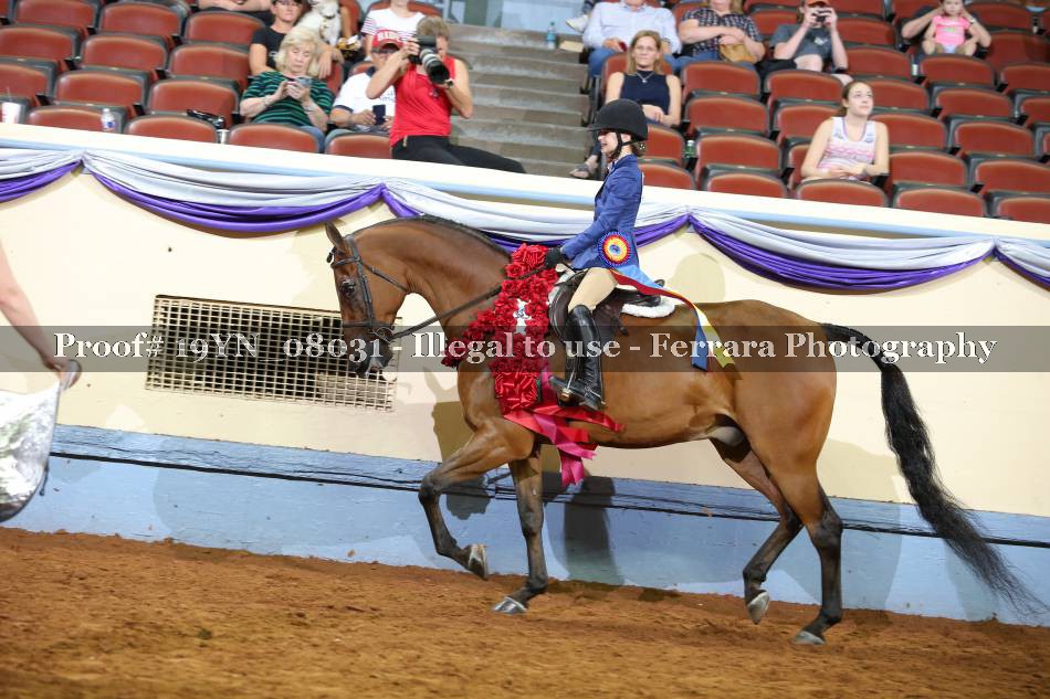 Proof 19YN_08031