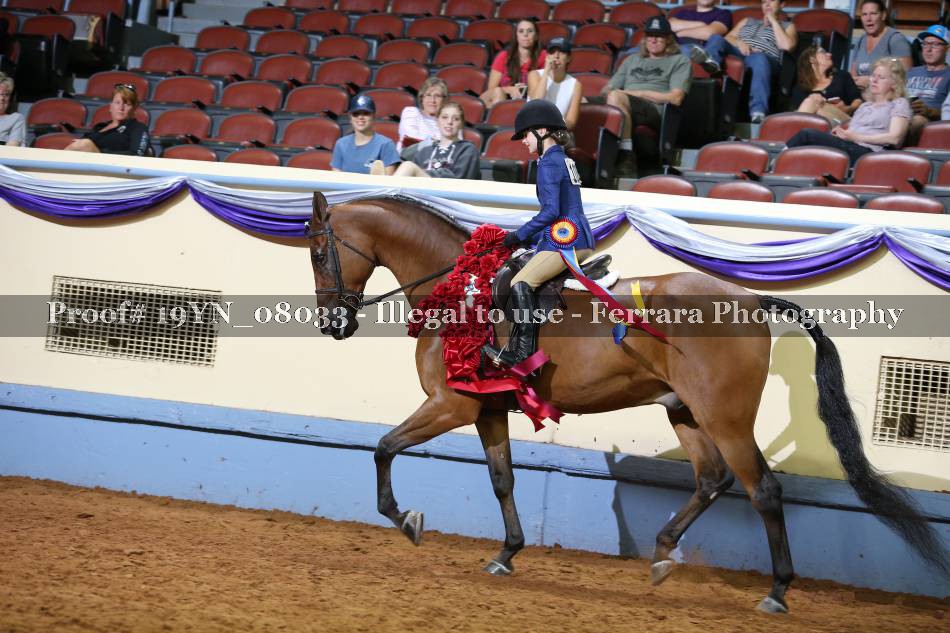 Proof 19YN_08033