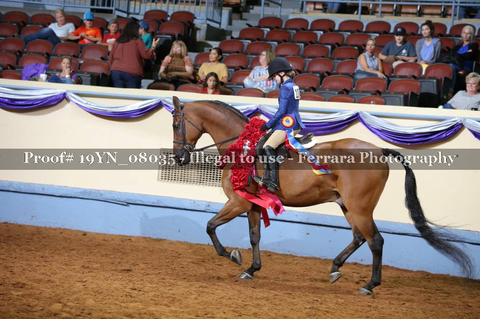 Proof 19YN_08035
