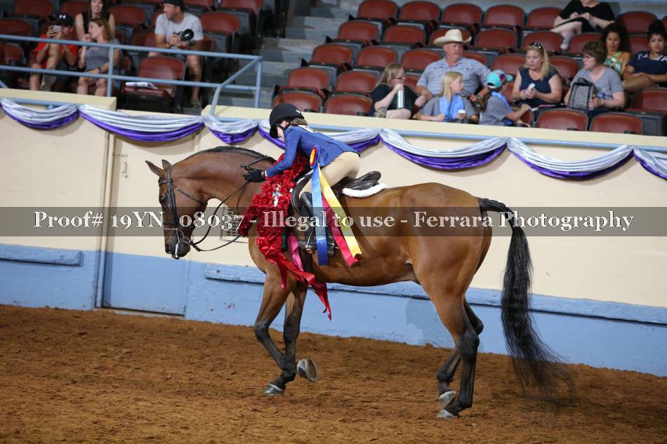 Proof 19YN_08037