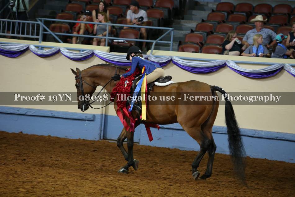 Proof 19YN_08038