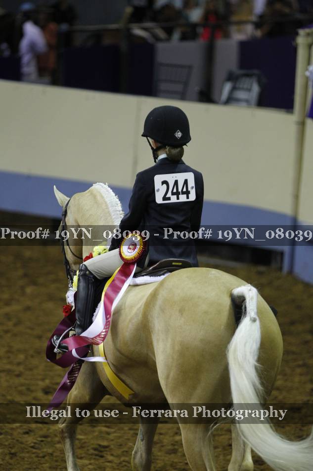 Proof 19YN_08039