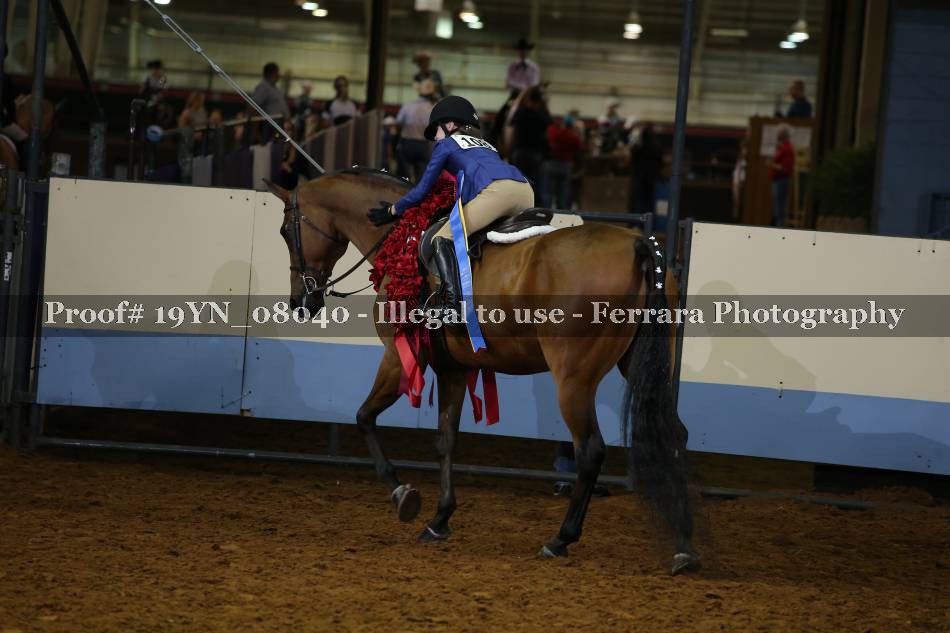 Proof 19YN_08040