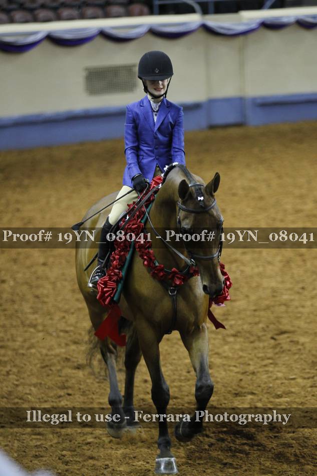 Proof 19YN_08041