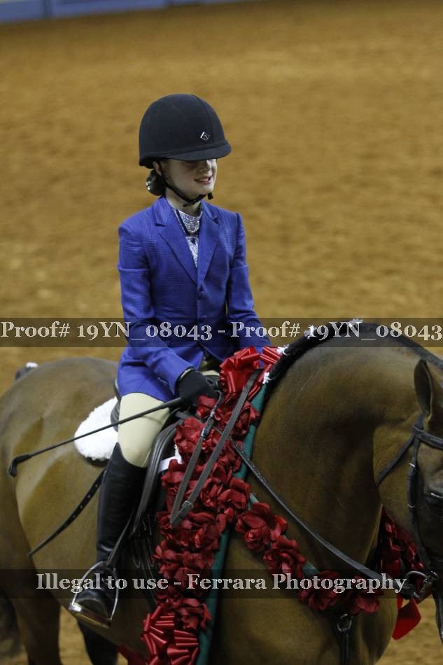 Proof 19YN_08043