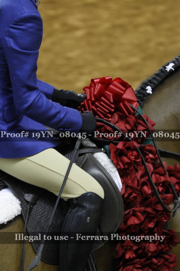 Proof 19YN_08045