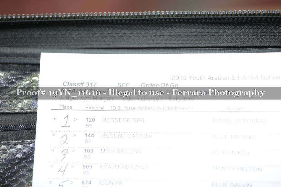 Proof 19YN_11616