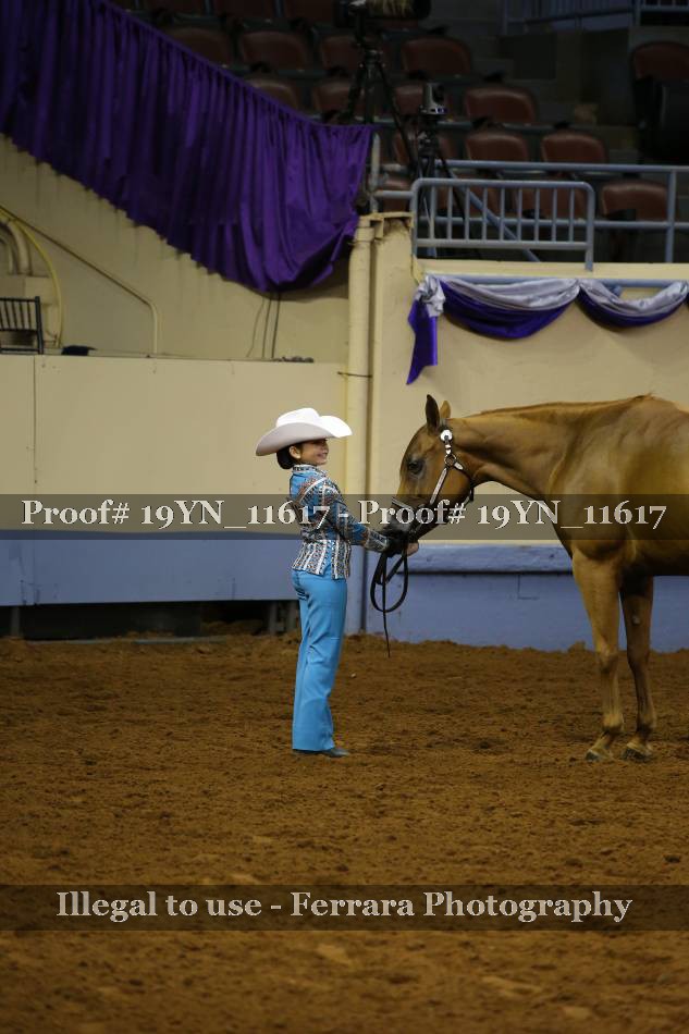 Proof 19YN_11617