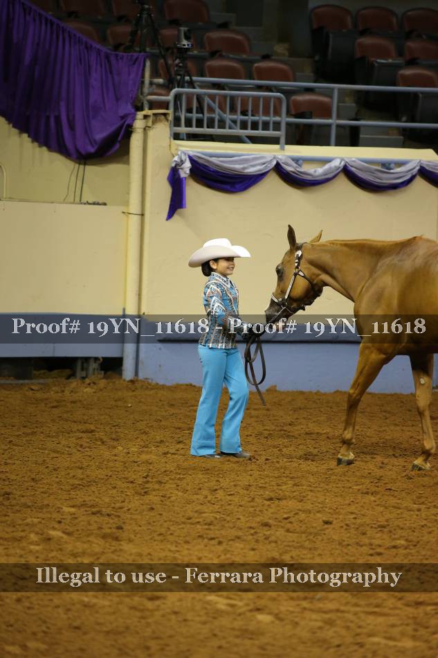 Proof 19YN_11618