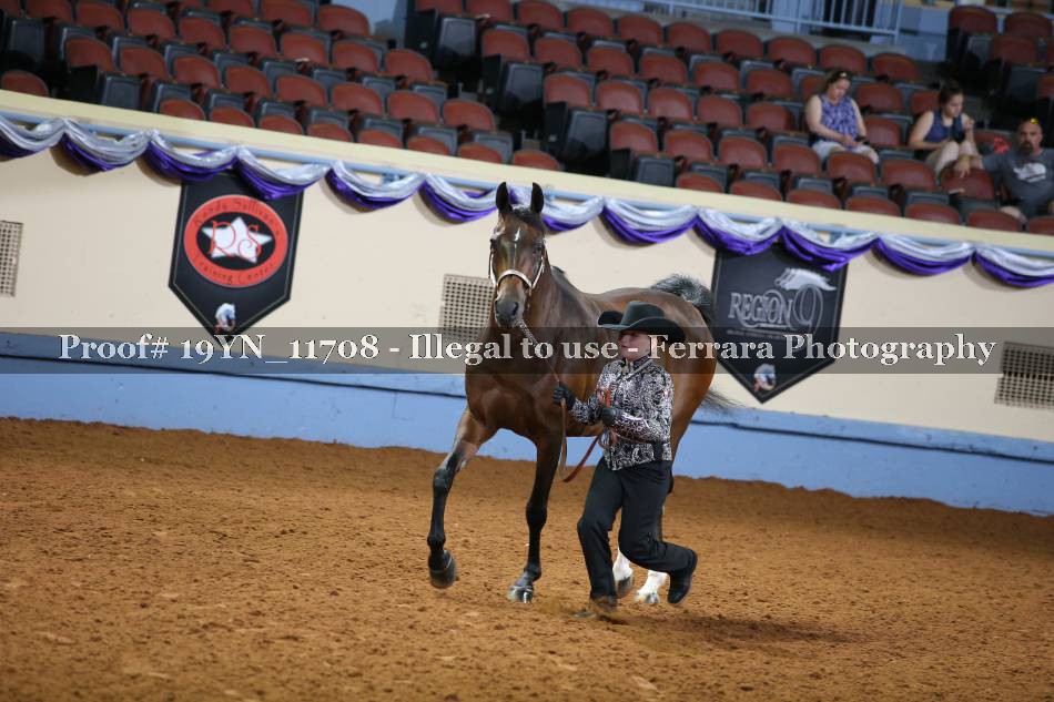 Proof 19YN_11708