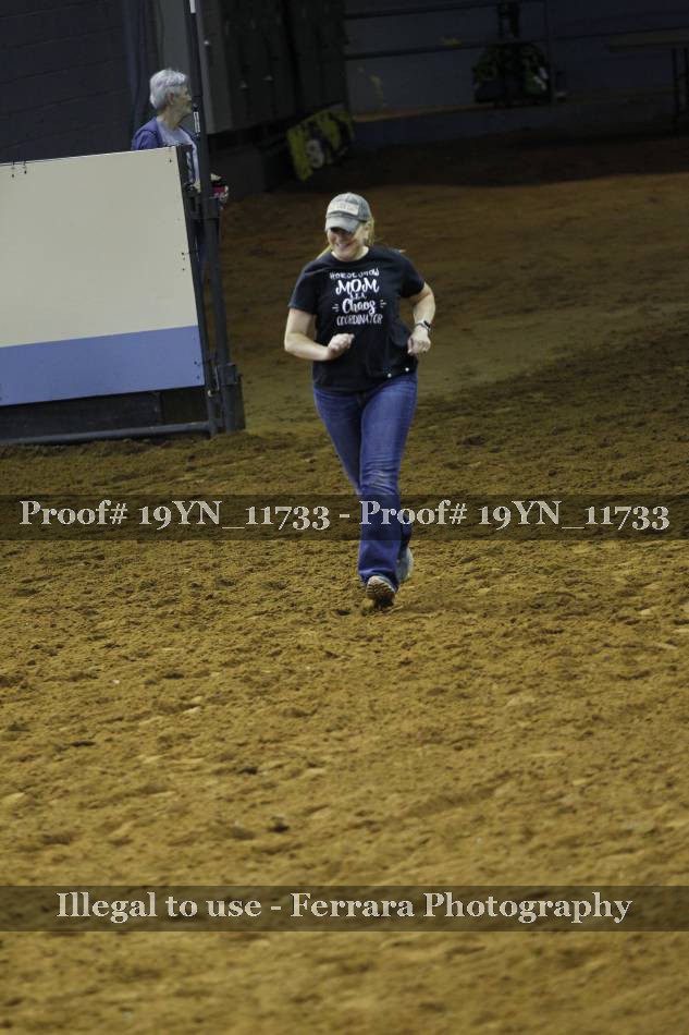 Proof 19YN_11733