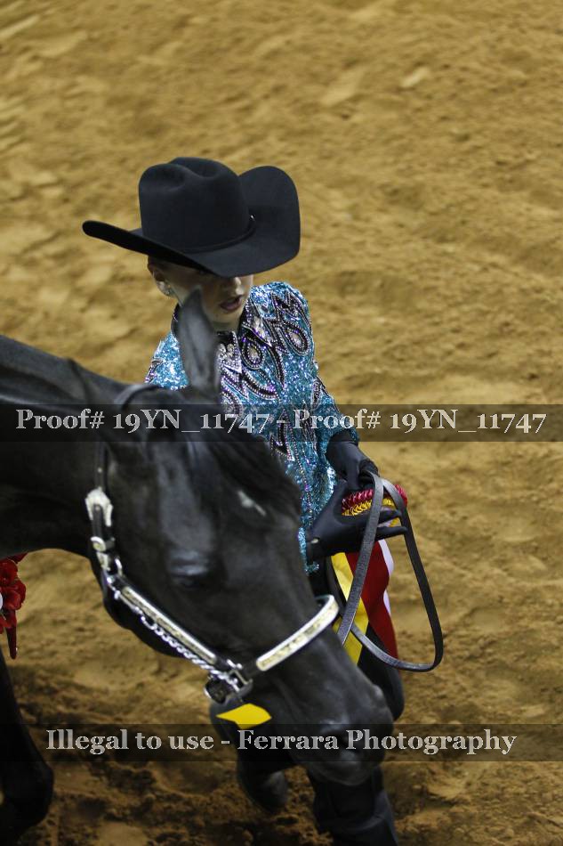 Proof 19YN_11747