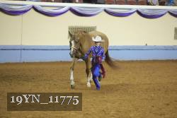 19YN_11775 proof