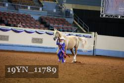 19YN_11789 proof