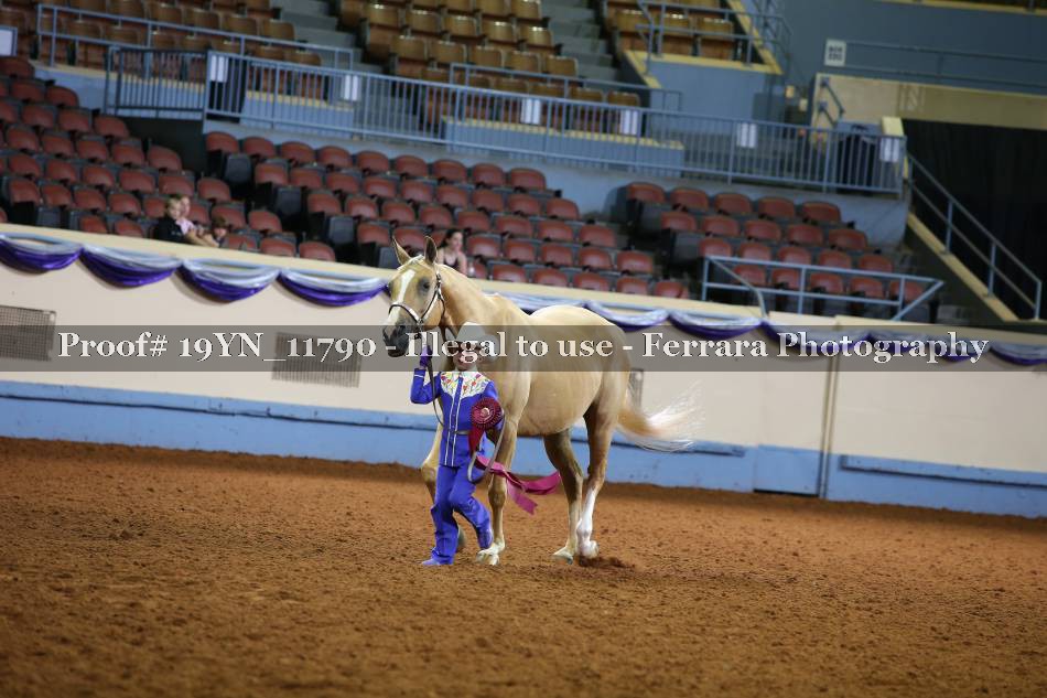 Proof 19YN_11790