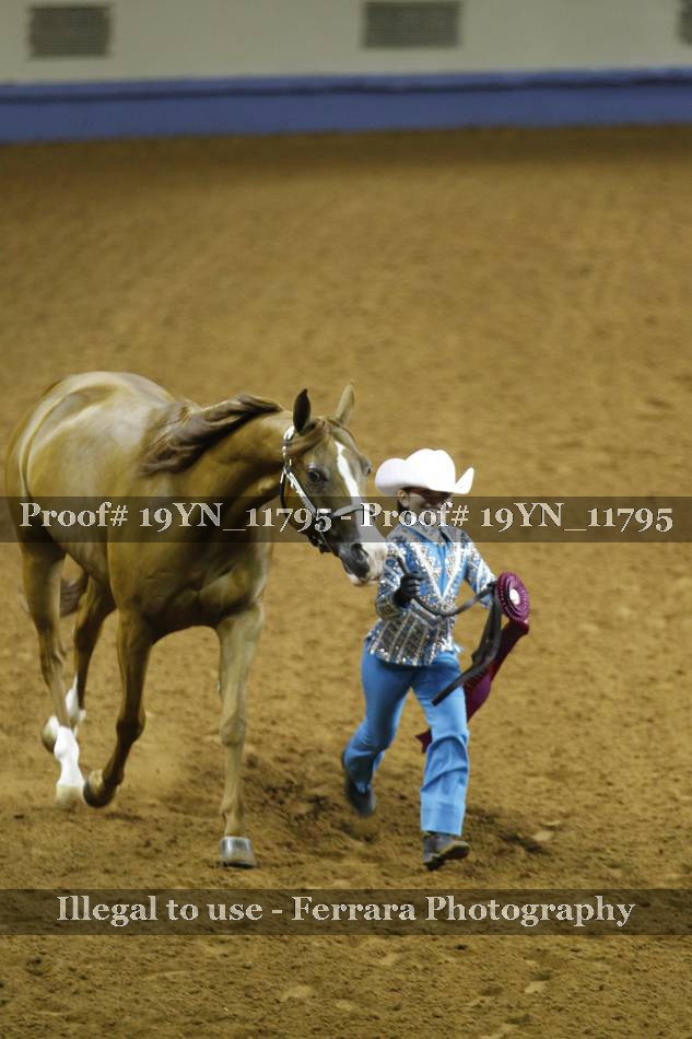 Proof 19YN_11795