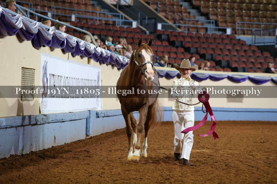 Proof 19YN_11805