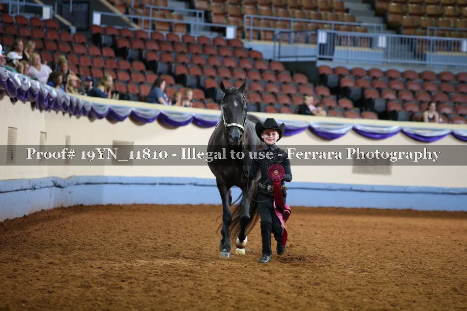 Proof 19YN_11810