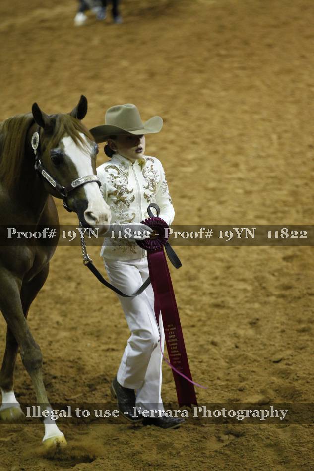 Proof 19YN_11822