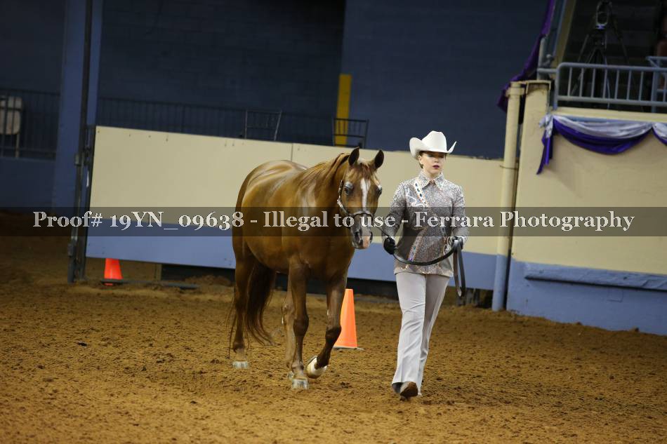 Proof 19YN_09638