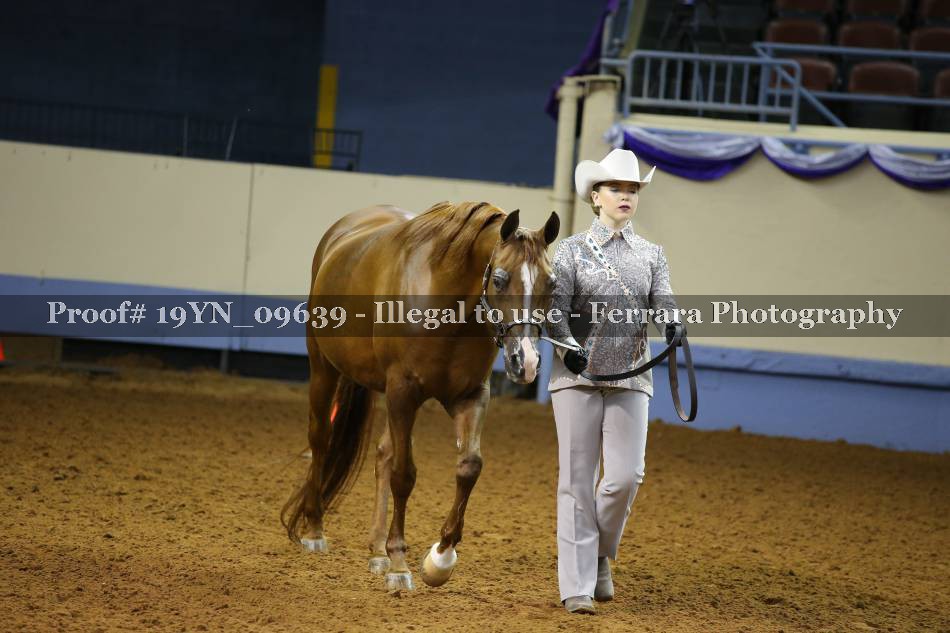 Proof 19YN_09639