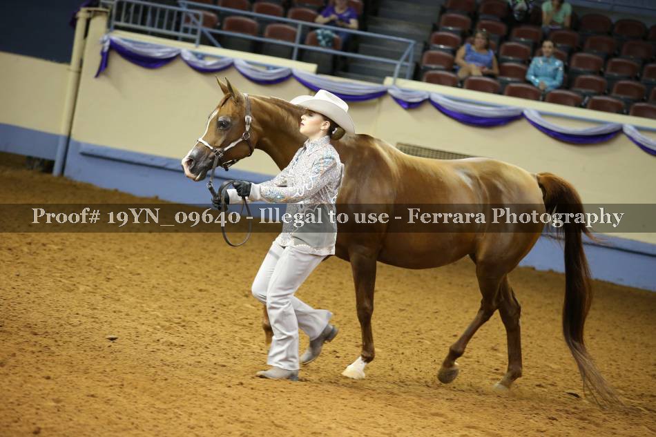 Proof 19YN_09640