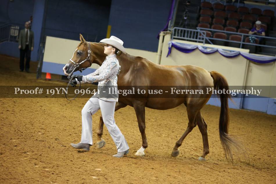 Proof 19YN_09641