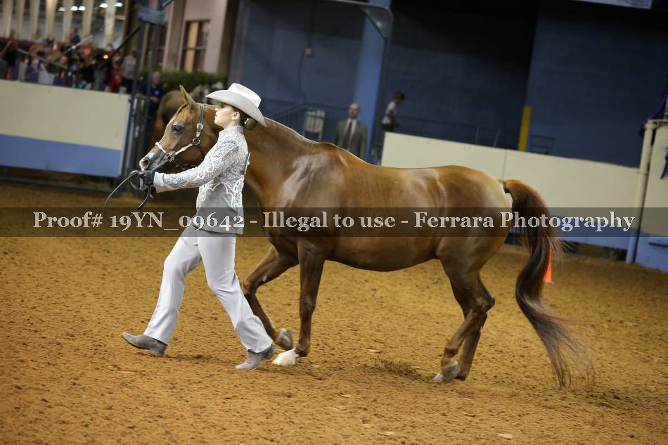 Proof 19YN_09642