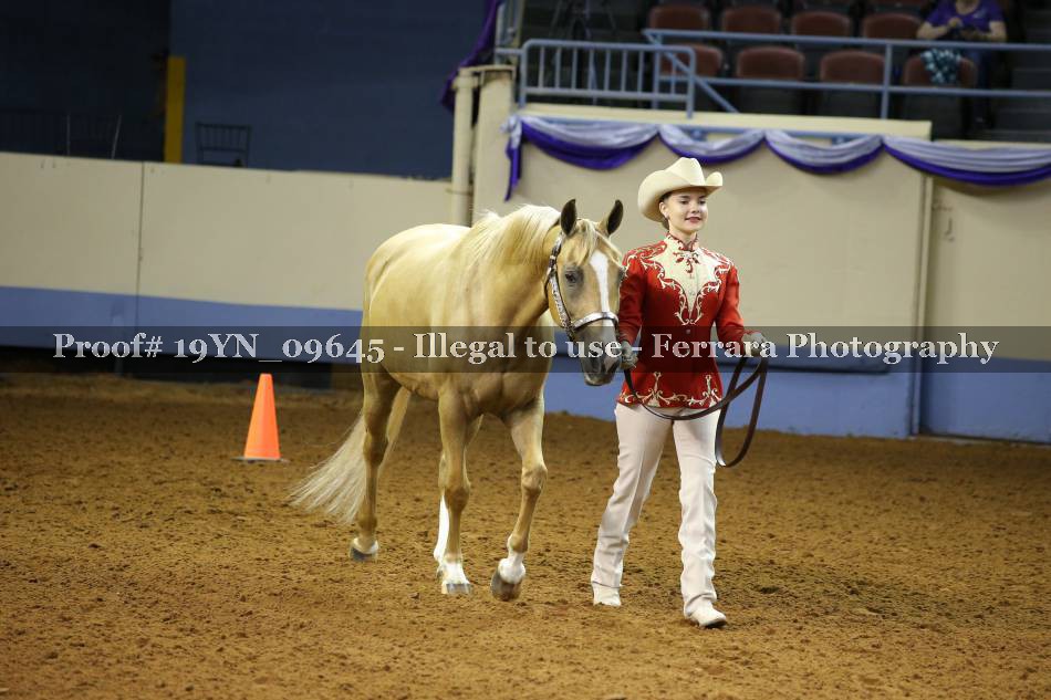 Proof 19YN_09645