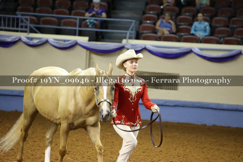 Proof 19YN_09646