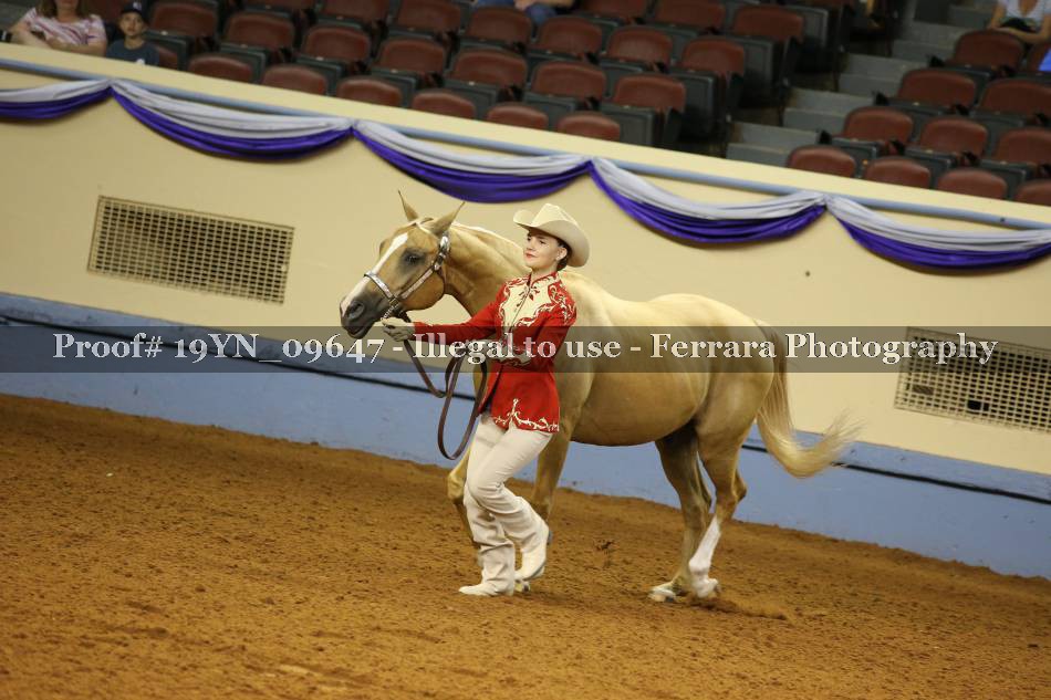 Proof 19YN_09647