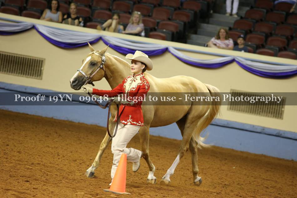 Proof 19YN_09648
