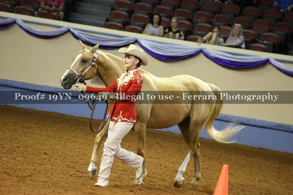 Proof 19YN_09649