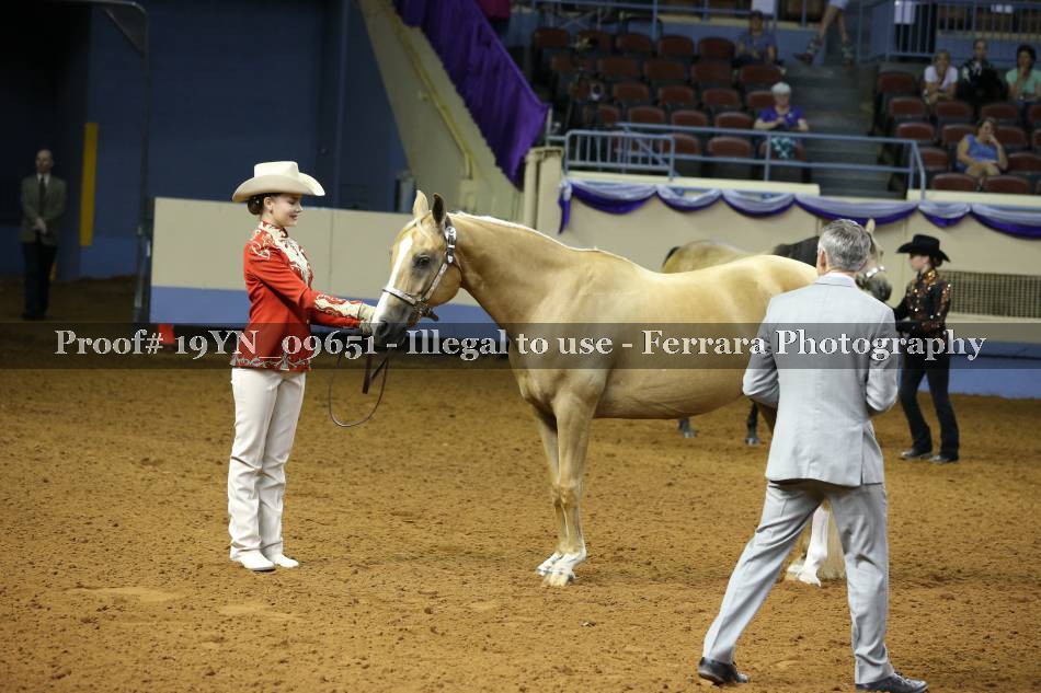 Proof 19YN_09651