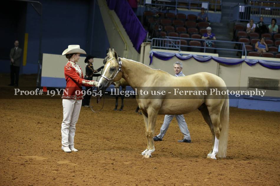 Proof 19YN_09654