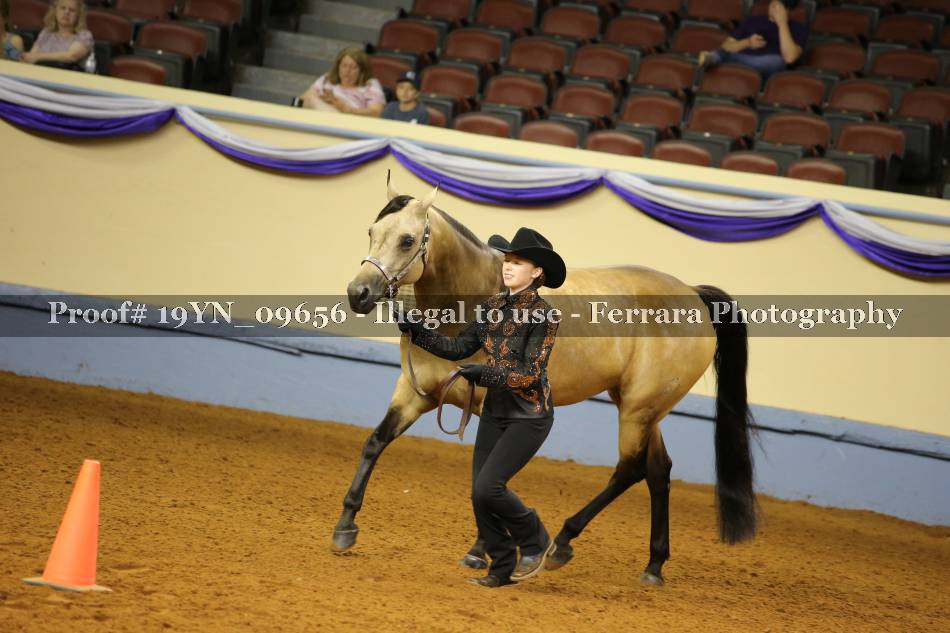 Proof 19YN_09656