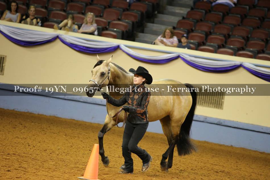 Proof 19YN_09657