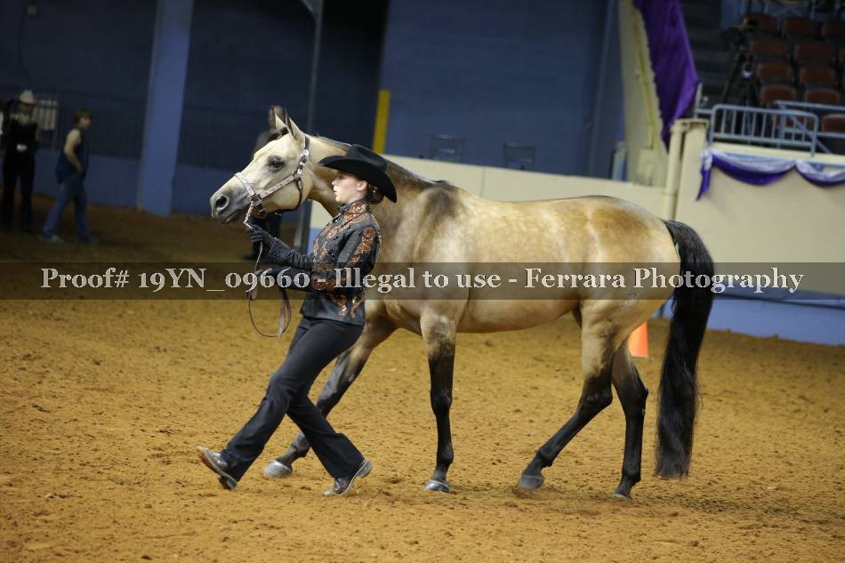 Proof 19YN_09660
