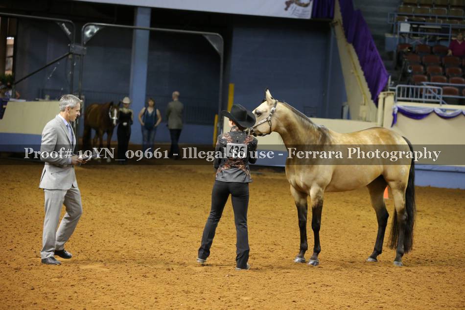 Proof 19YN_09661