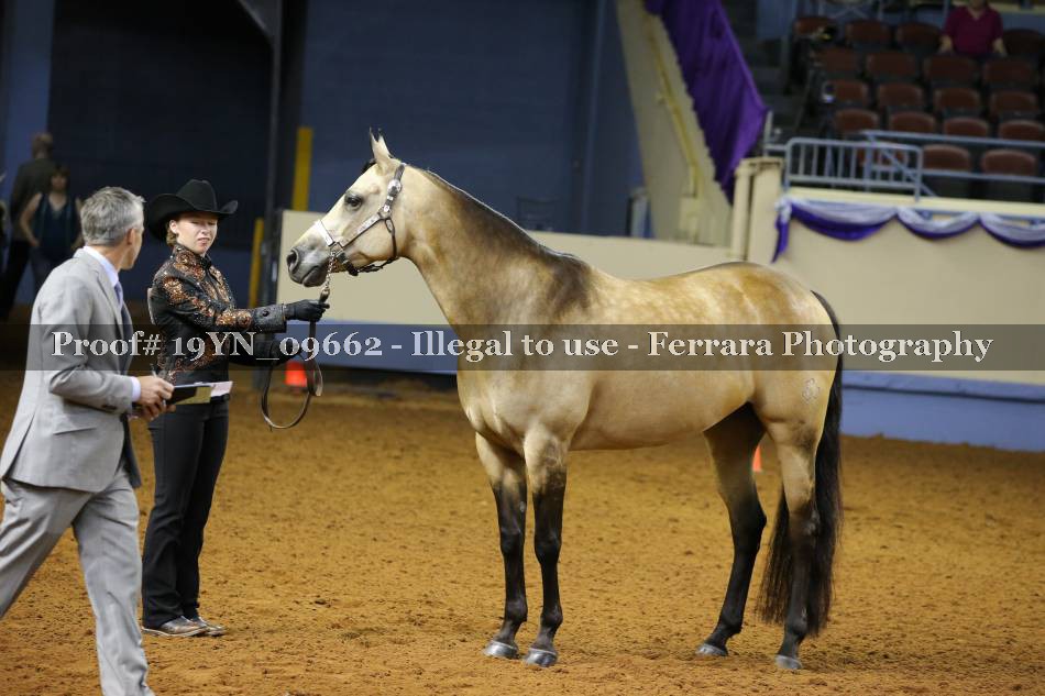 Proof 19YN_09662