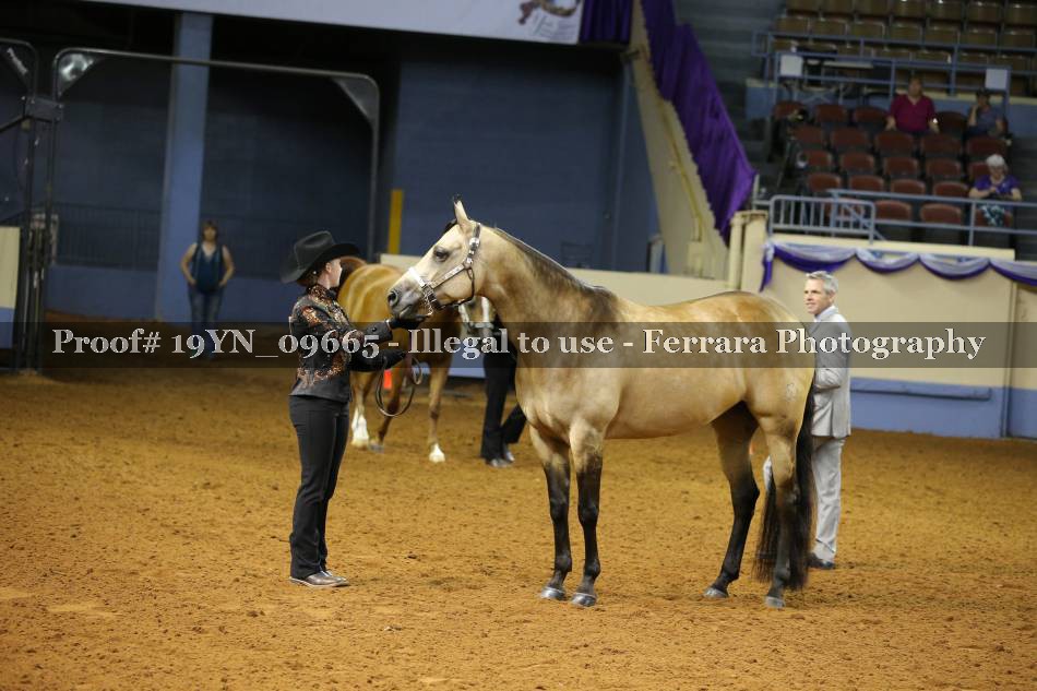 Proof 19YN_09665