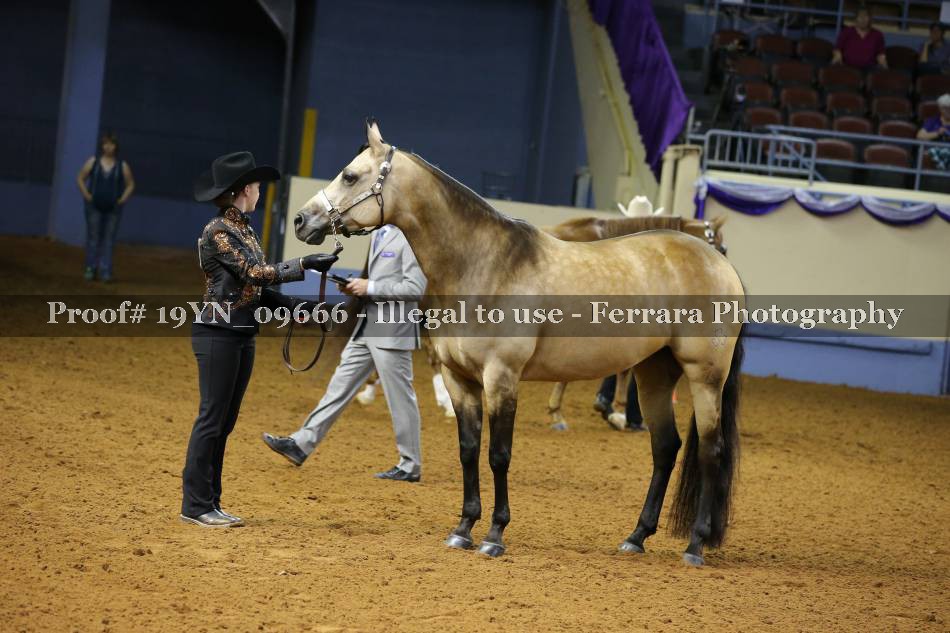 Proof 19YN_09666