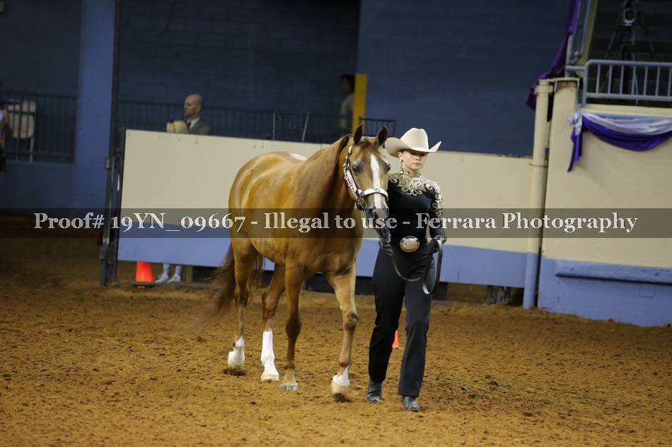 Proof 19YN_09667