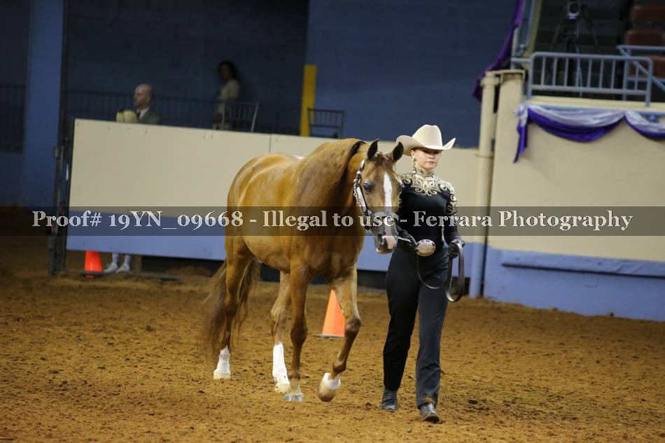 Proof 19YN_09668
