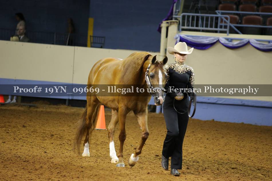 Proof 19YN_09669