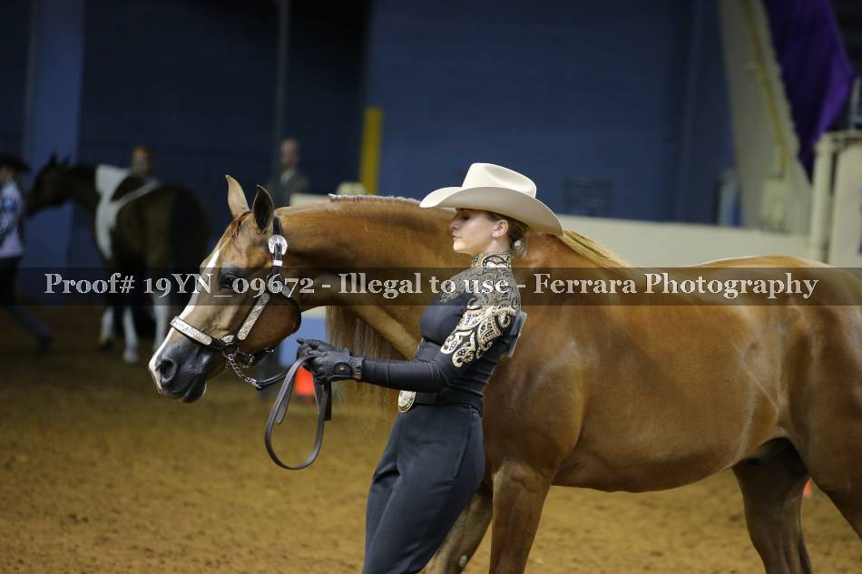 Proof 19YN_09672