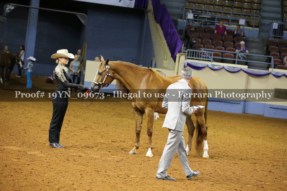 Proof 19YN_09673