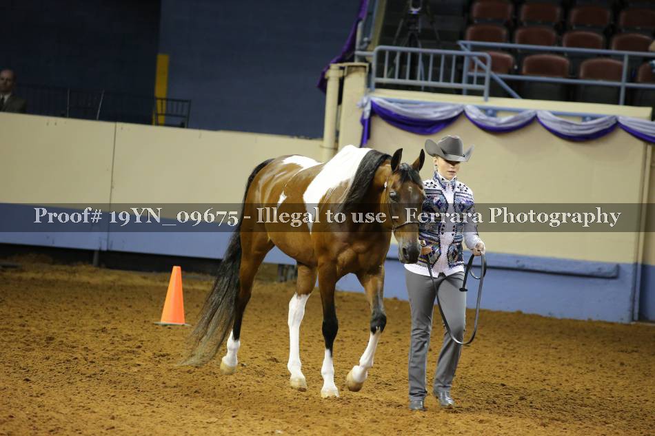 Proof 19YN_09675