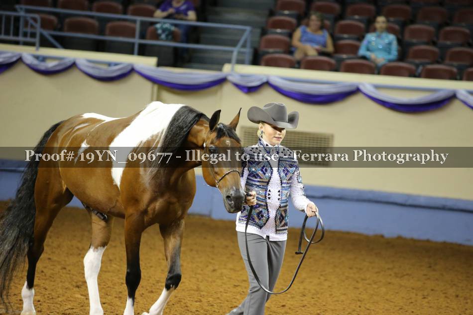 Proof 19YN_09677