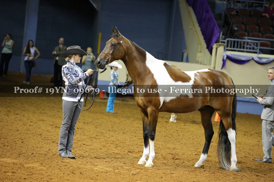 Proof 19YN_09679